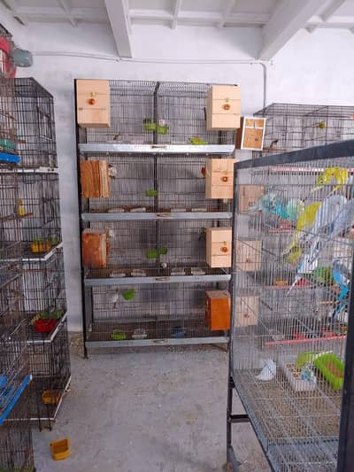 Galvanzied Cage 8 portion