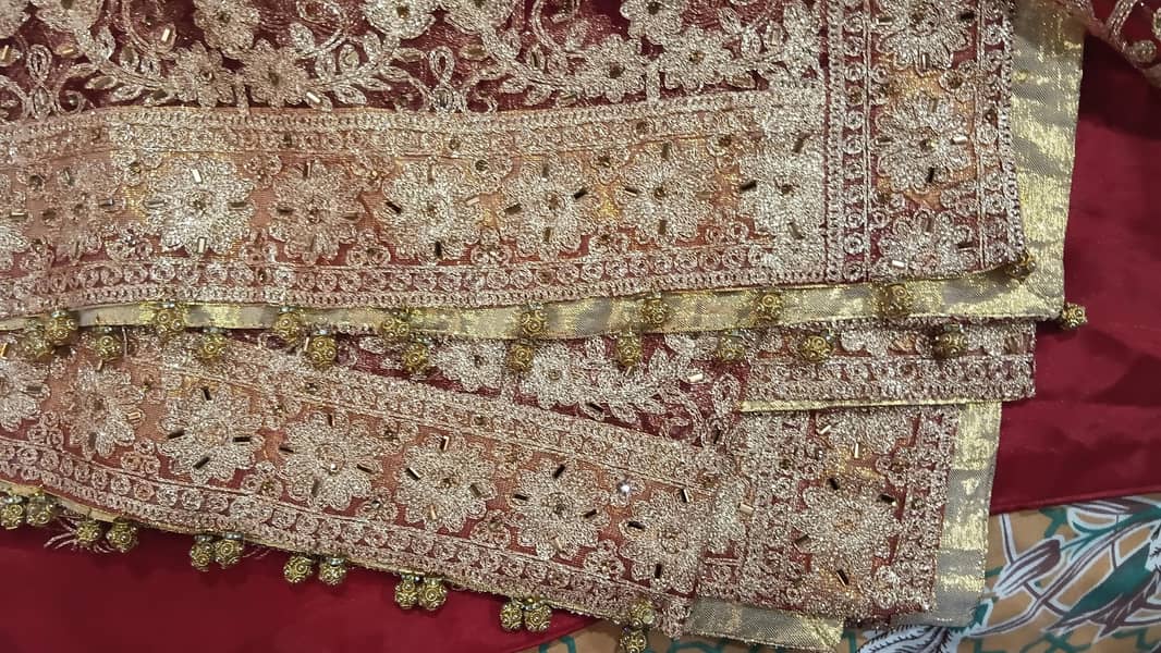 bridle maxi 2