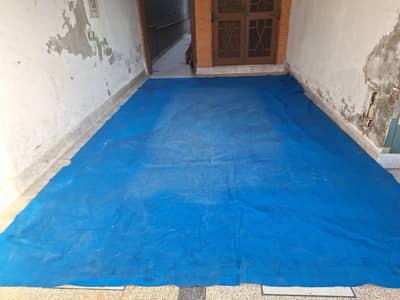 BLUE CARPETS