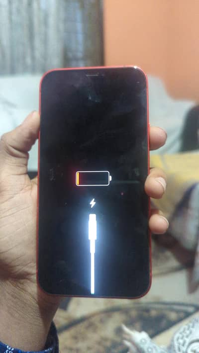 Apple iPhone 12