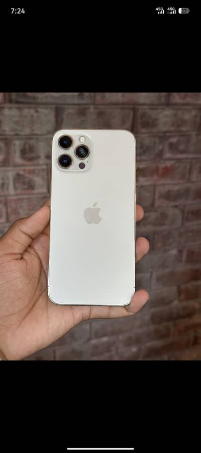 Apple iPhone 12 Pro Max