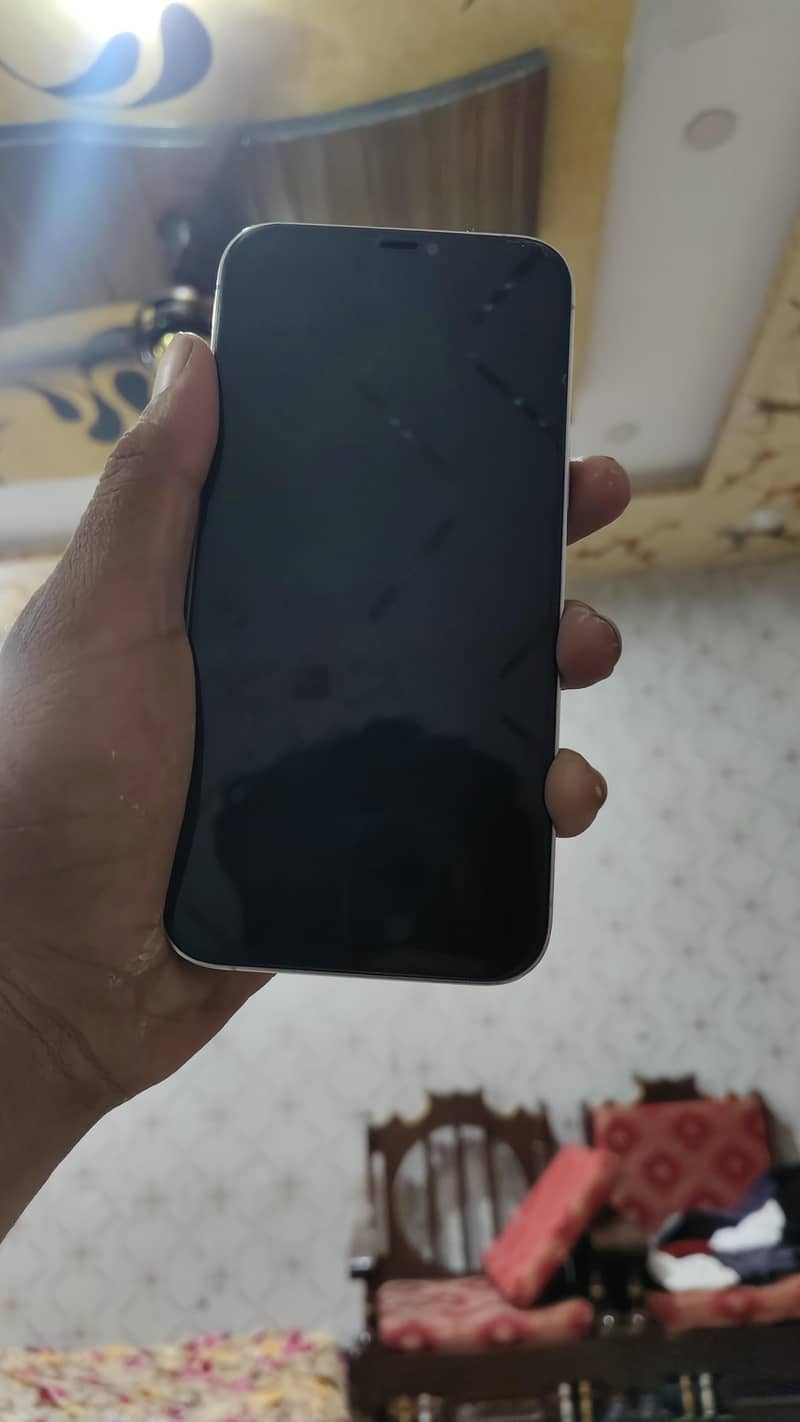 Apple iPhone 12 Pro Max 2