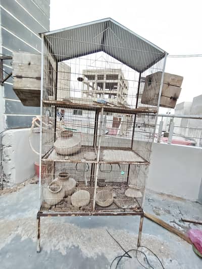 Bird Cage for sell