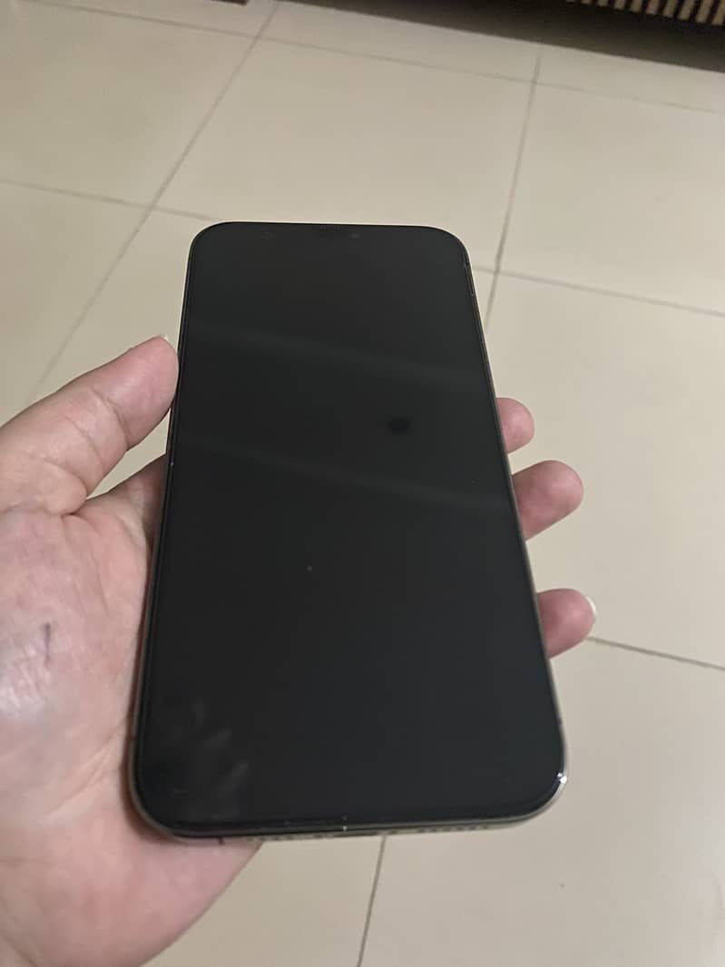 Iphone 12 Pro Max 3