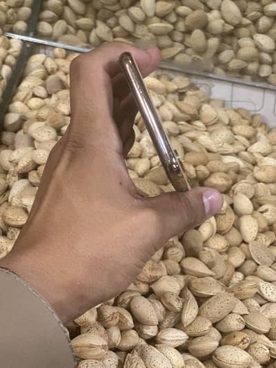 Apple iPhone XS Max