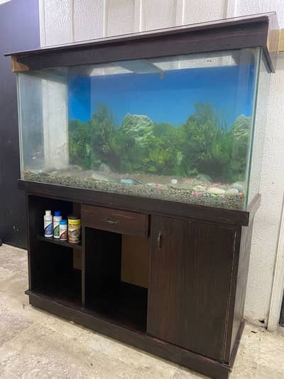 Aquarium urgent sell