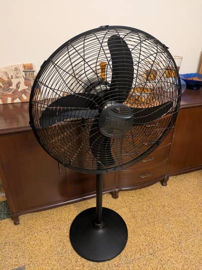 Royal Pedestal Fan 24"