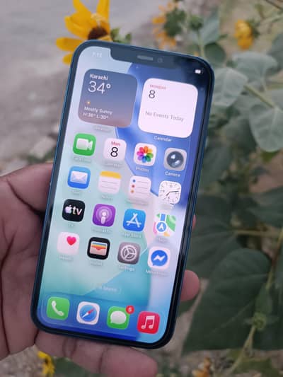 Apple iPhone 12 memory 128gb.