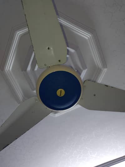 Ceiling fan