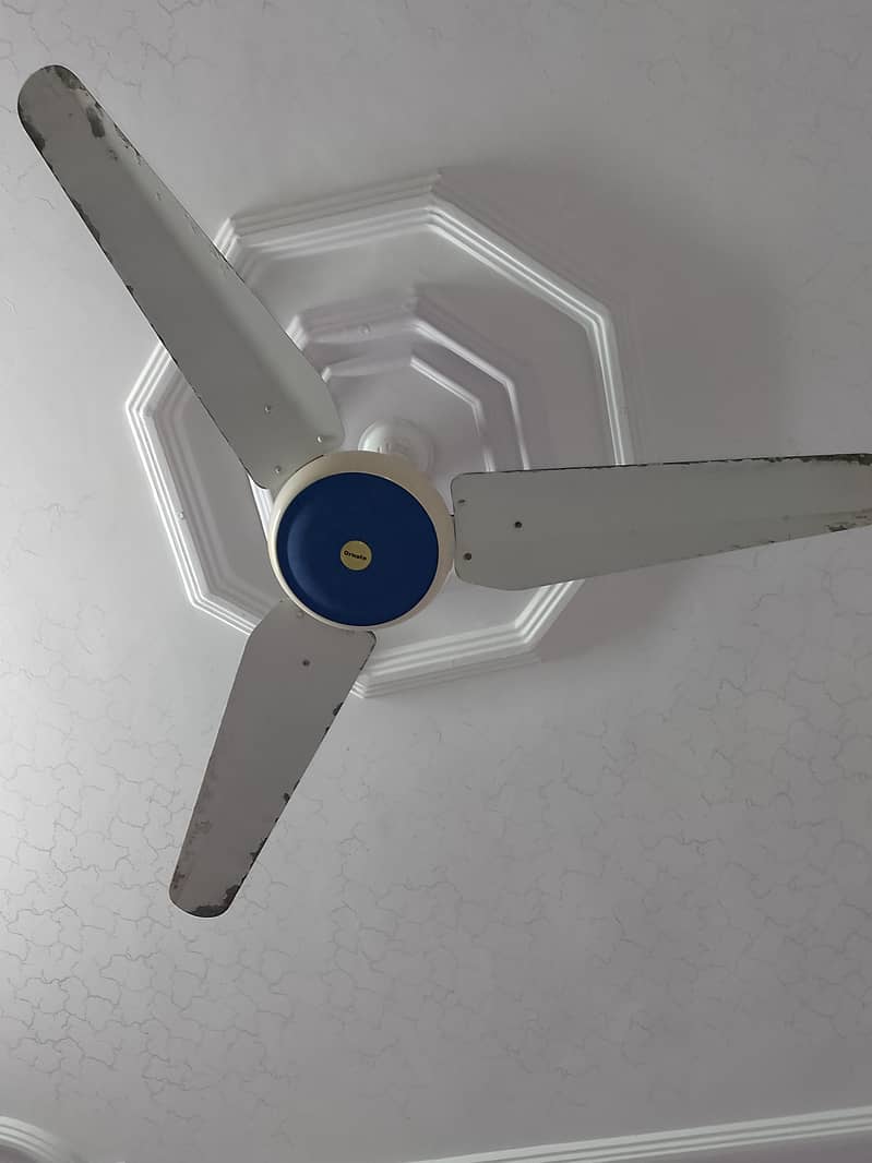 Ceiling fan 3