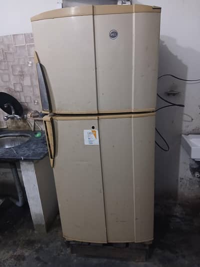 Pel fridge Available