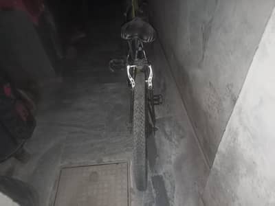 racing cycle for sale