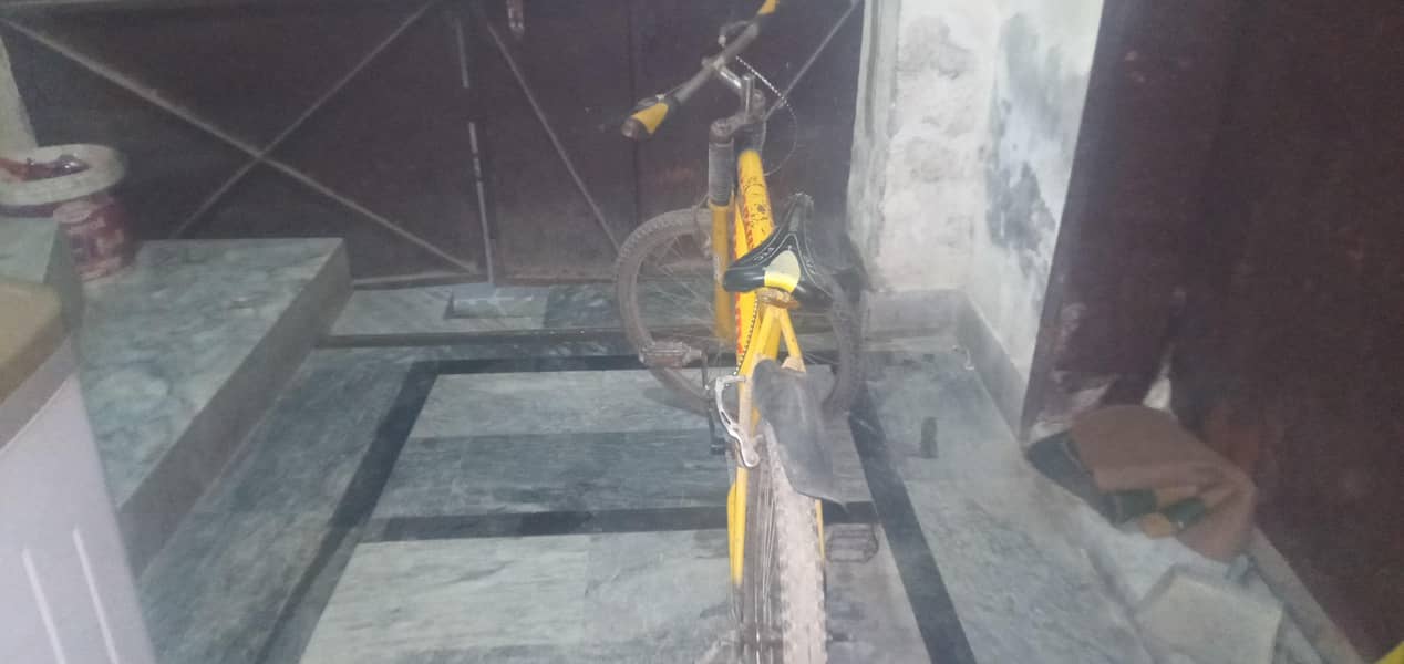 Bicycle 1
