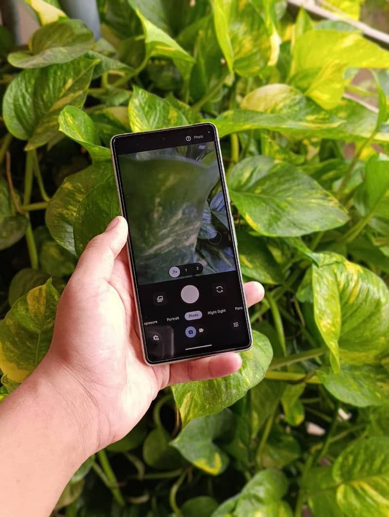 Google Pixel 7 1