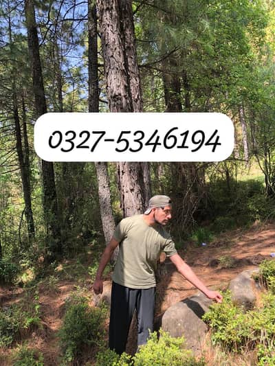 Security Guard Job,  Gun man, Butler, Caretaker, Helper, office boy