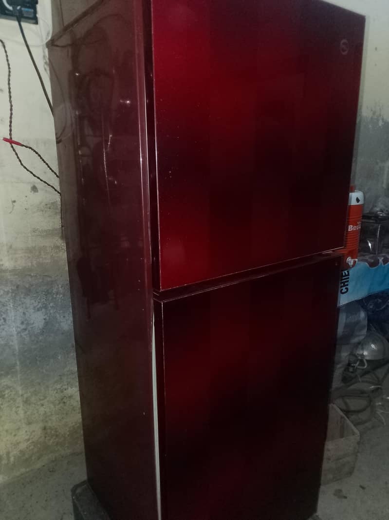 refreezer 1
