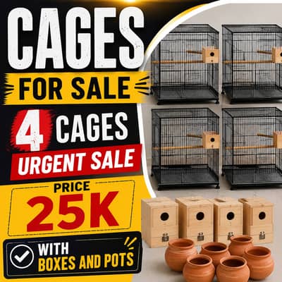 Love Bird cages