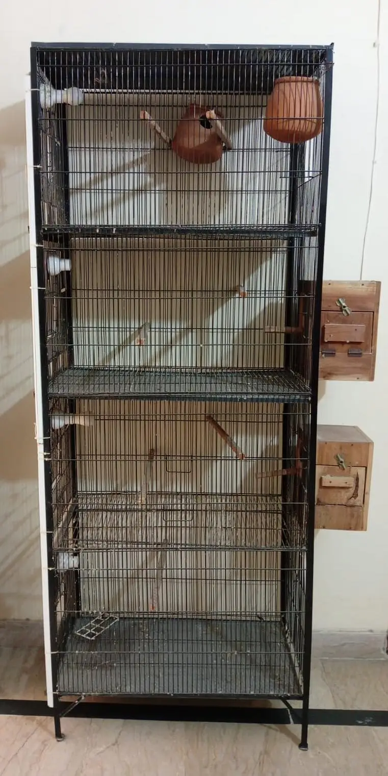 birds cage for urgent  sale