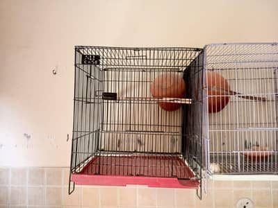 birds cage for urgent  sale