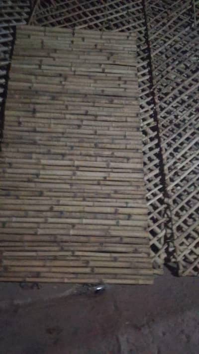 Bamboo Jafri for sale