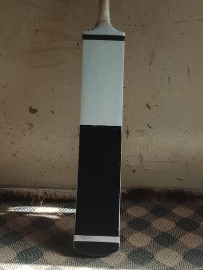 cricket bat, coconut wood