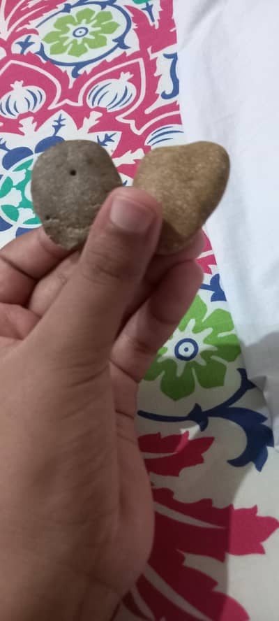 beautiful beach rocks
