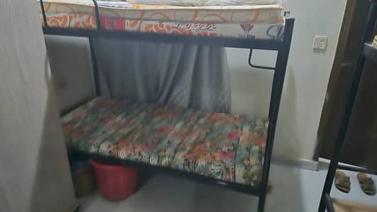 hostel bed for sale