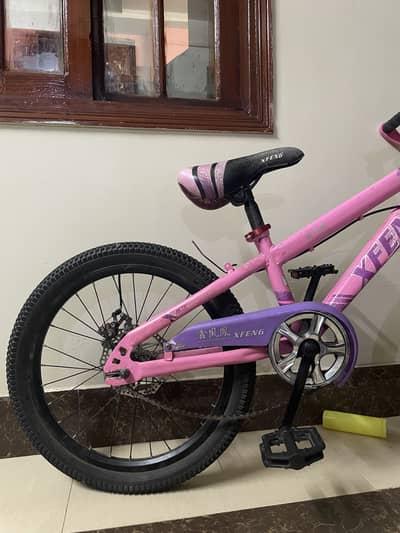 Sport cycle