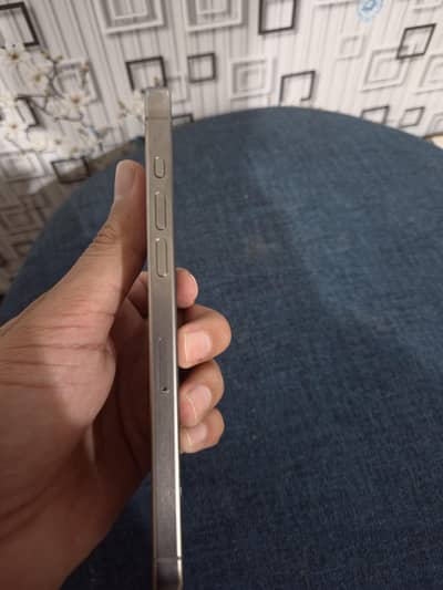 Iphone 15 pro max (Natural titanium) - 256GB - Non PTA - 10/10