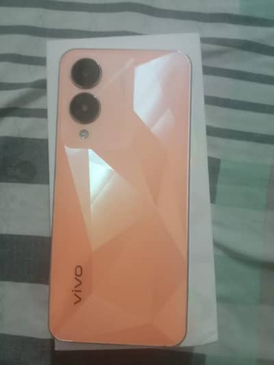 vivo y17s