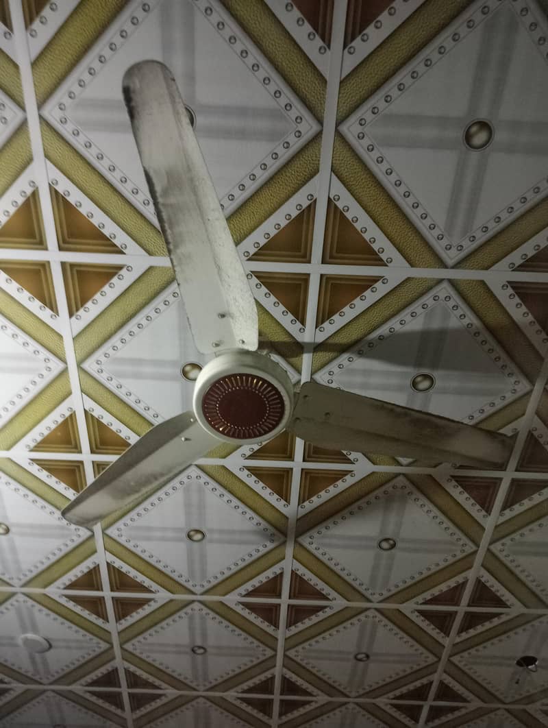 ceiling fans 1