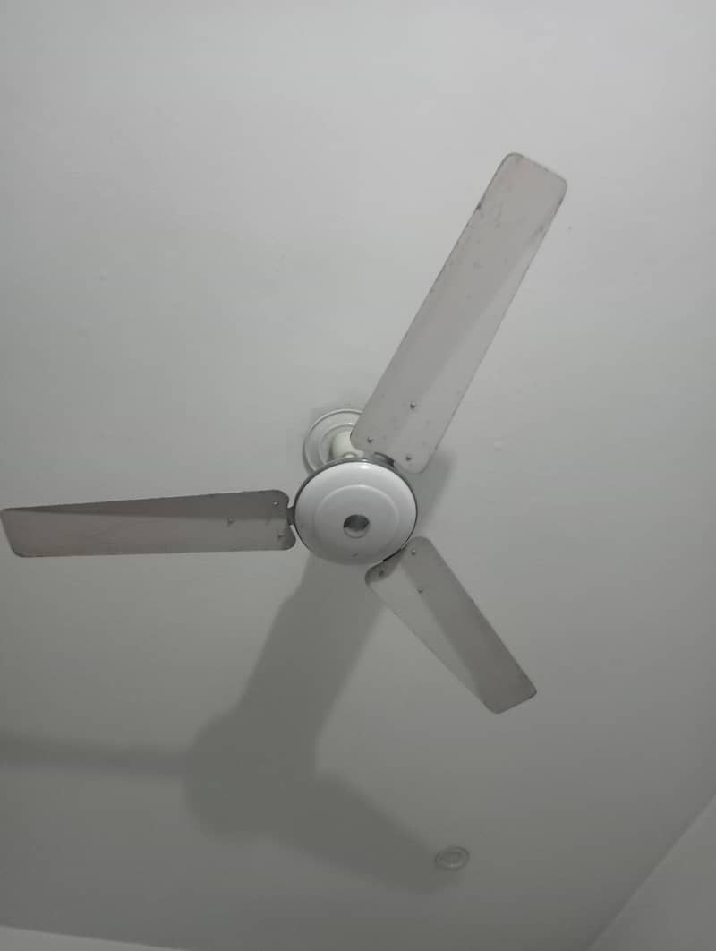 ceiling fans 4