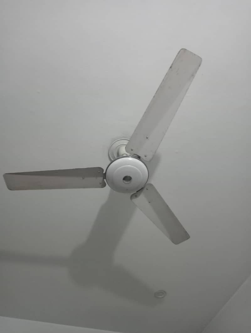 ceiling fans 5
