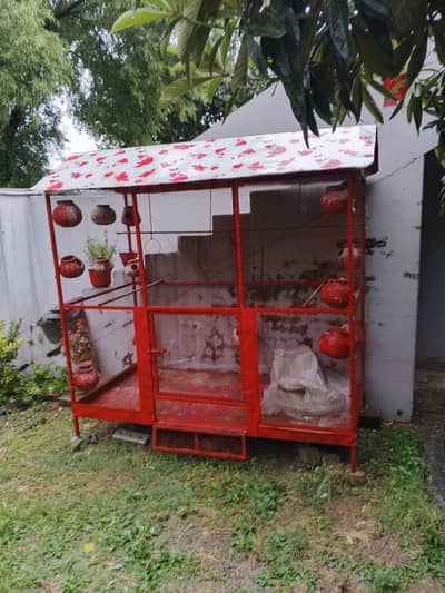 Parrots cage with Dolli
