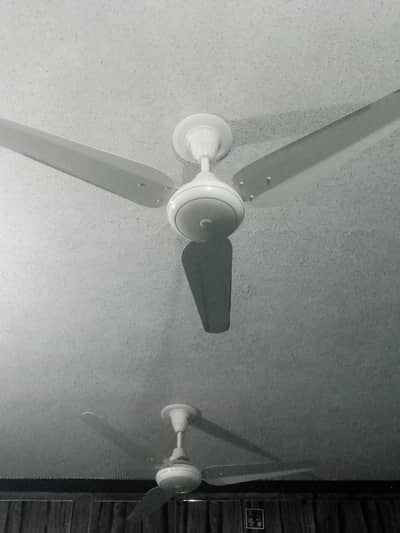sonex Fan