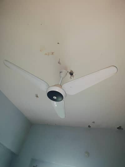 AC DC Fan SK Company