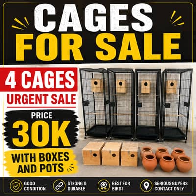 Love Bird cages