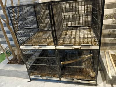 Master Cage