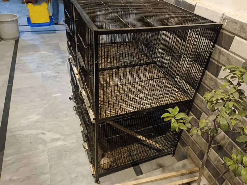 Master Cage 1