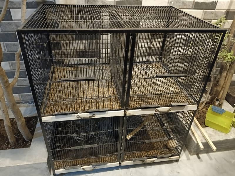 Master Cage 2