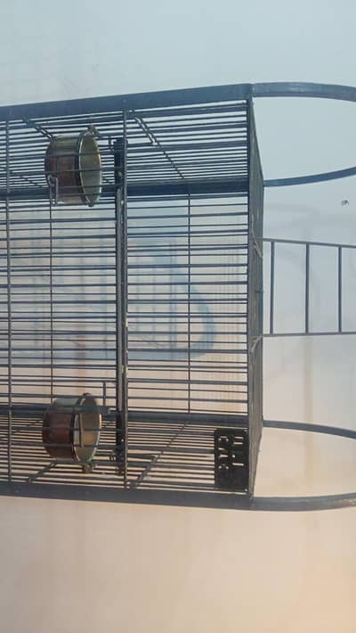 Iron Cage