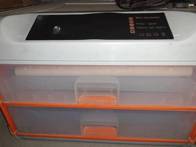 Original Chinese egg incubator