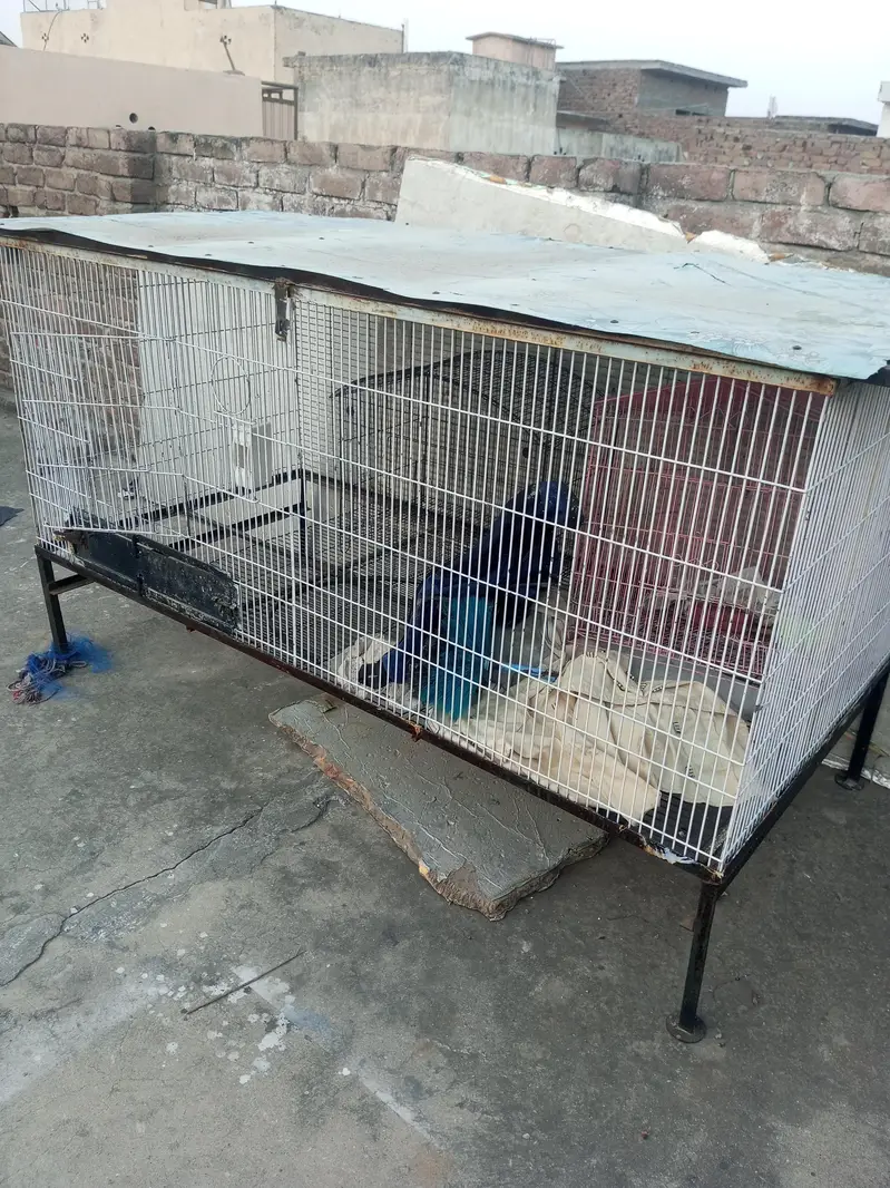 cage for sale — photo 2