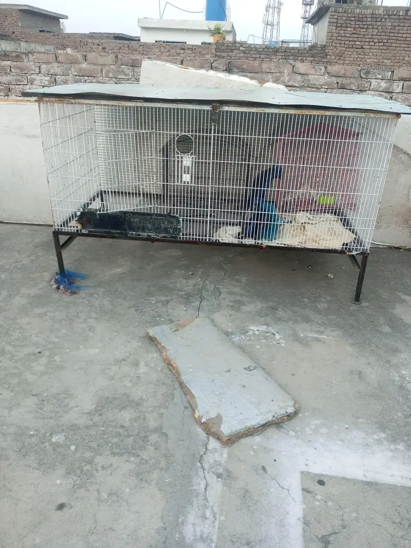 cage for sale — photo 3
