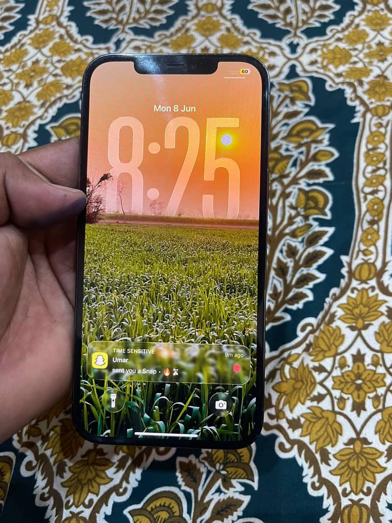 Apple iPhone 12 Pro Max 4