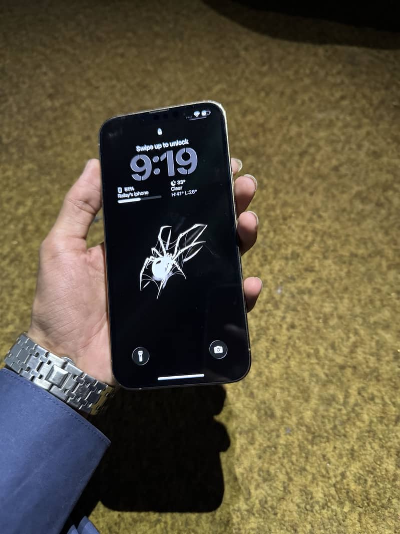 Apple iPhone 13 Pro Max 1