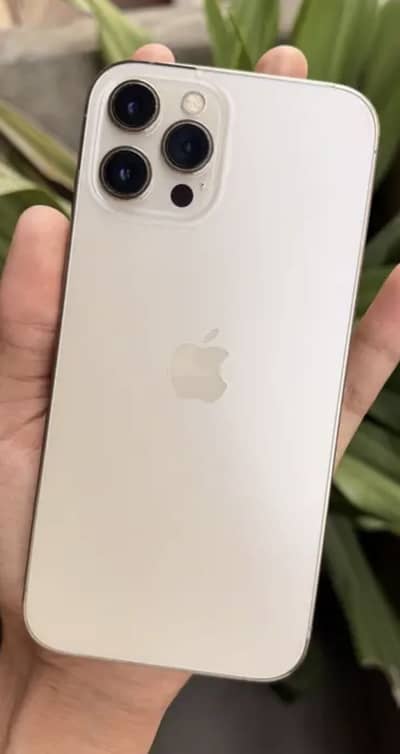 Apple iPhone 12 Pro Max
