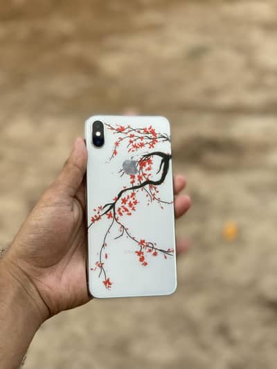 iphone xs max pta