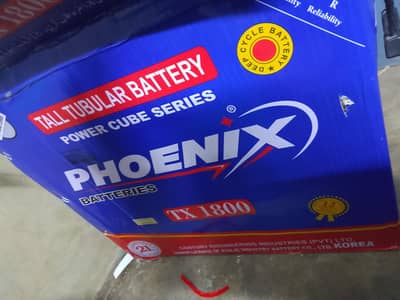 Phoenix Battery