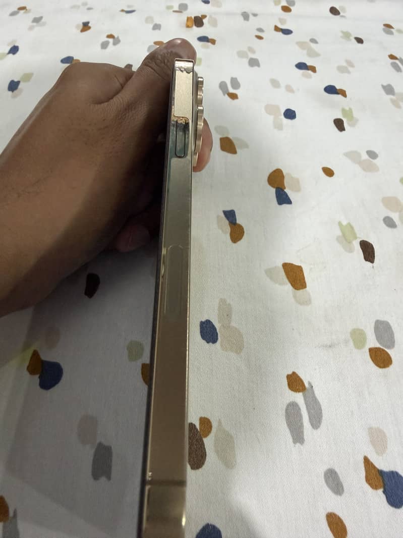 Apple iPhone 13 Pro Max 1